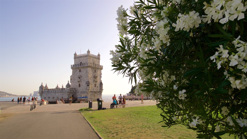 Belem Tower which includes wild flowers, a park and heritage architecture