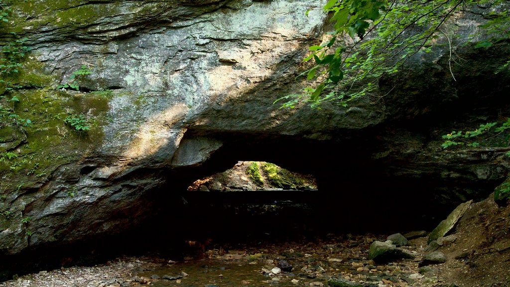 Rock Bridge Memorial State Park mostrando cavernas