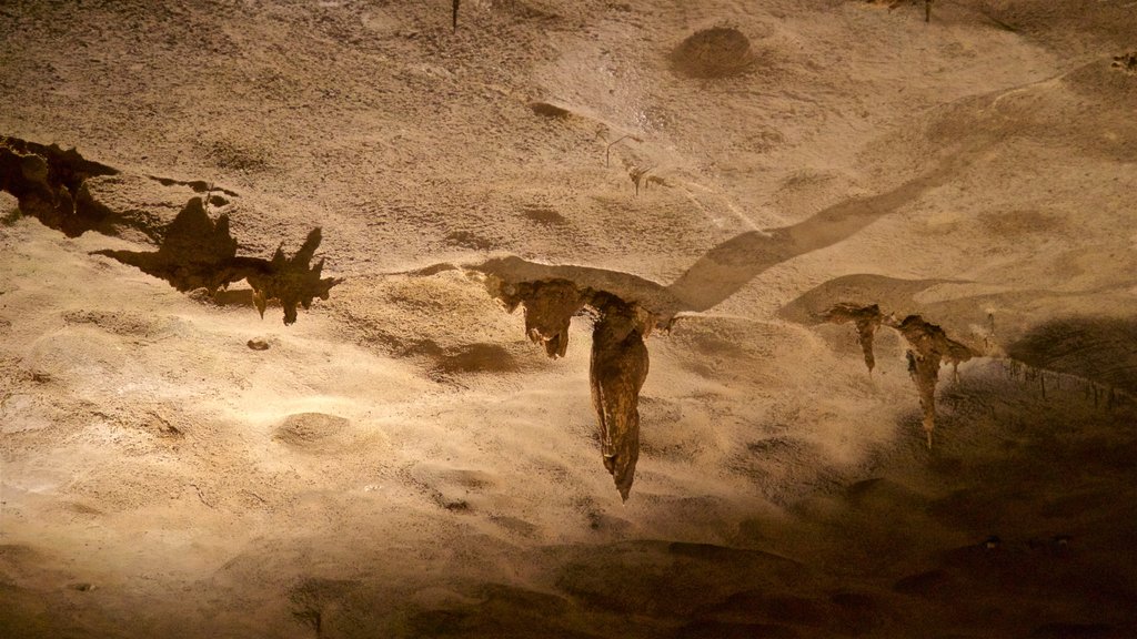 Fantastic Caverns showing caves