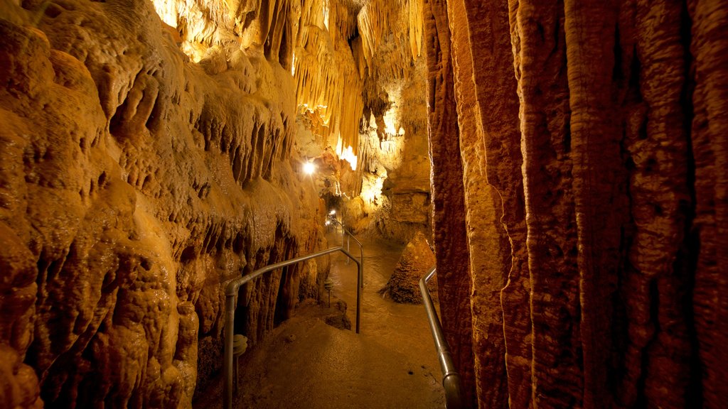 Bridal Cave showing caves