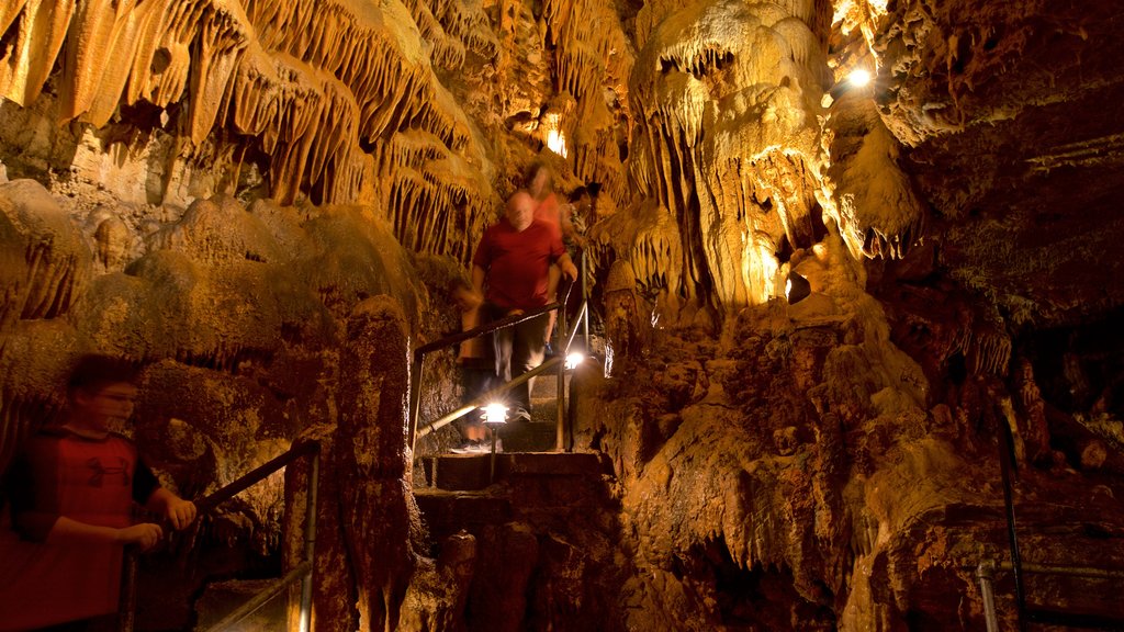 Bridal Cave showing caves as well as a small group of people