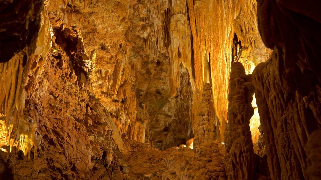 Bridal Cave showing caves