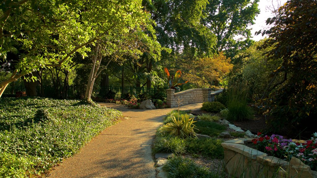 Shelter Gardens og byder på blomster og en park