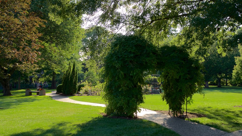 Shelter Gardens que incluye un parque