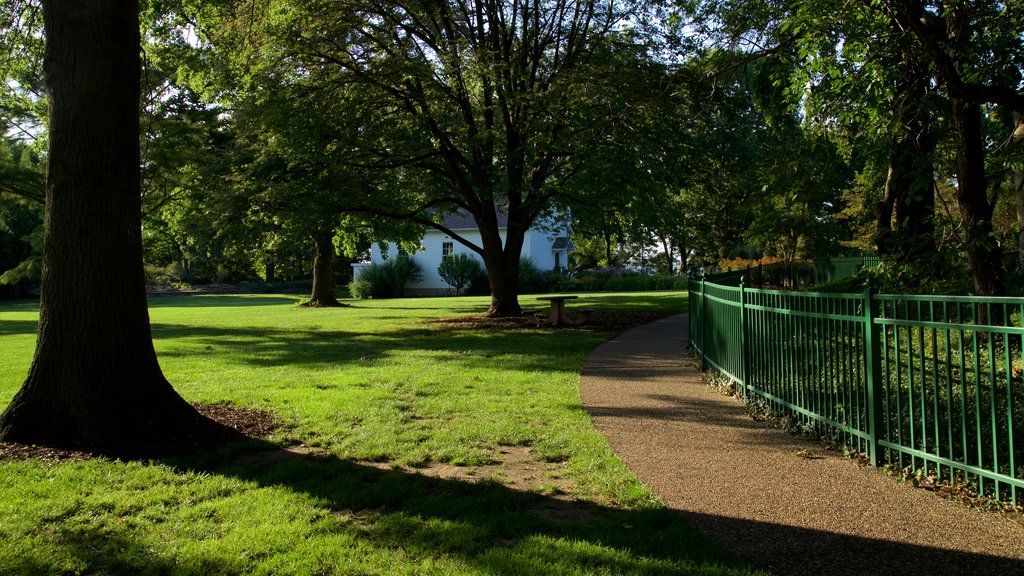 Shelter Gardens mostrando un parque