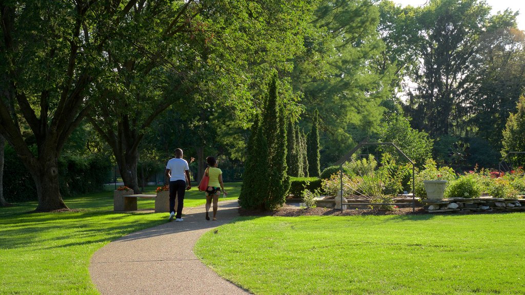 Shelter Gardens showing street scenes and a garden as well as a couple