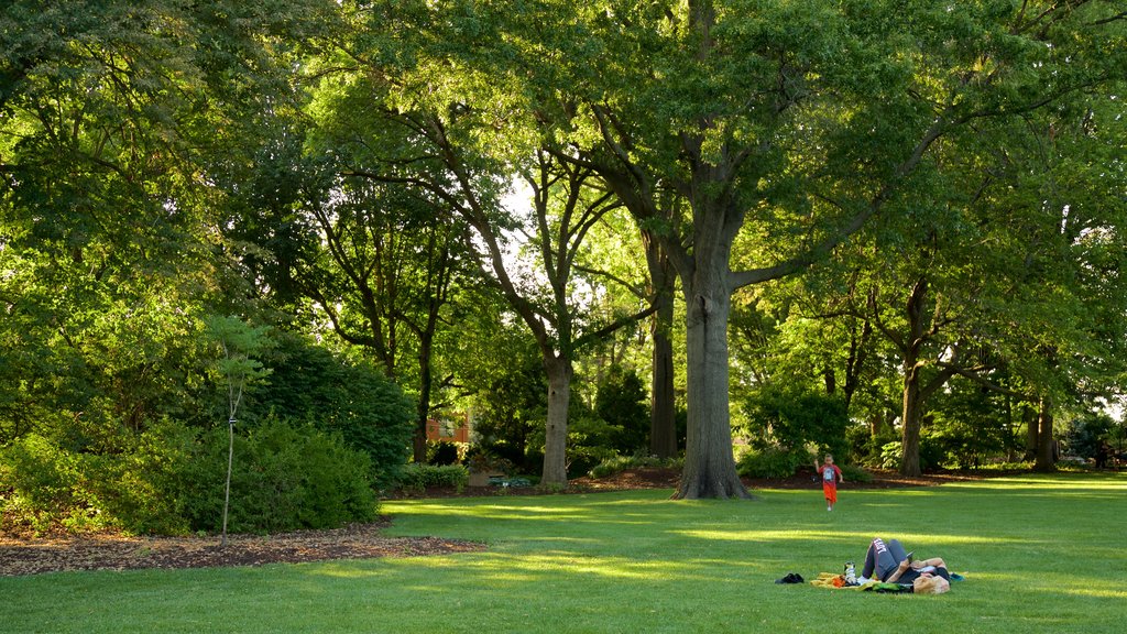 Shelter Gardens featuring a park as well as a family