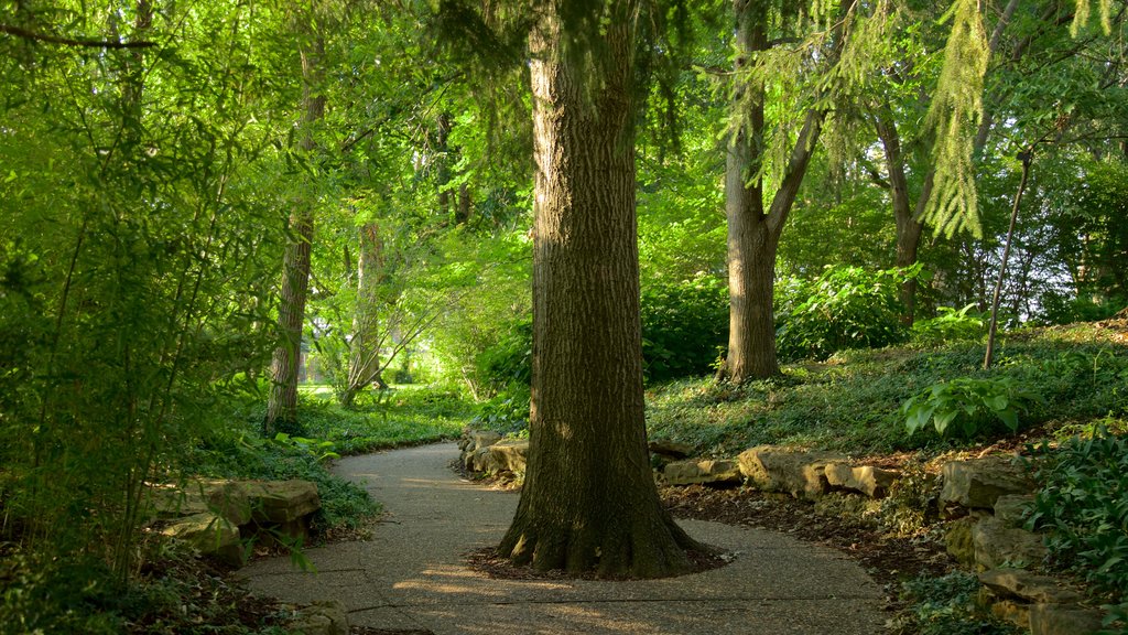 Shelter Gardens which includes a park