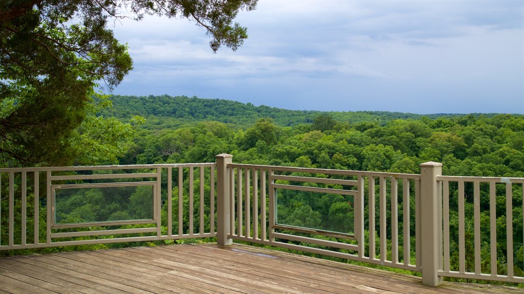 Ha Ha Tonka State Park toont vergezichten, bos en landschappen