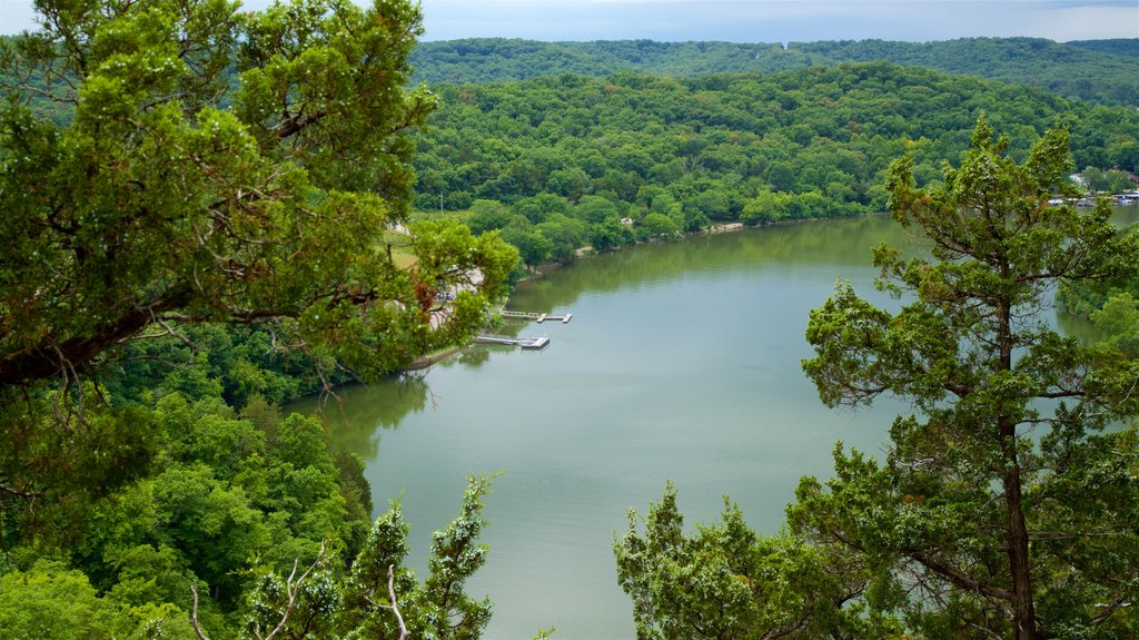 Ha Ha Tonka State Park que incluye imágenes de bosques, un lago o espejo de agua y escenas tranquilas