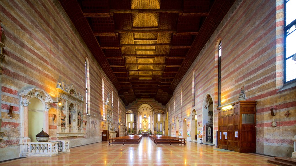 Chiesa degli Eremitani mostrando chiesa o cattedrale, vista interna e oggetti d\'epoca