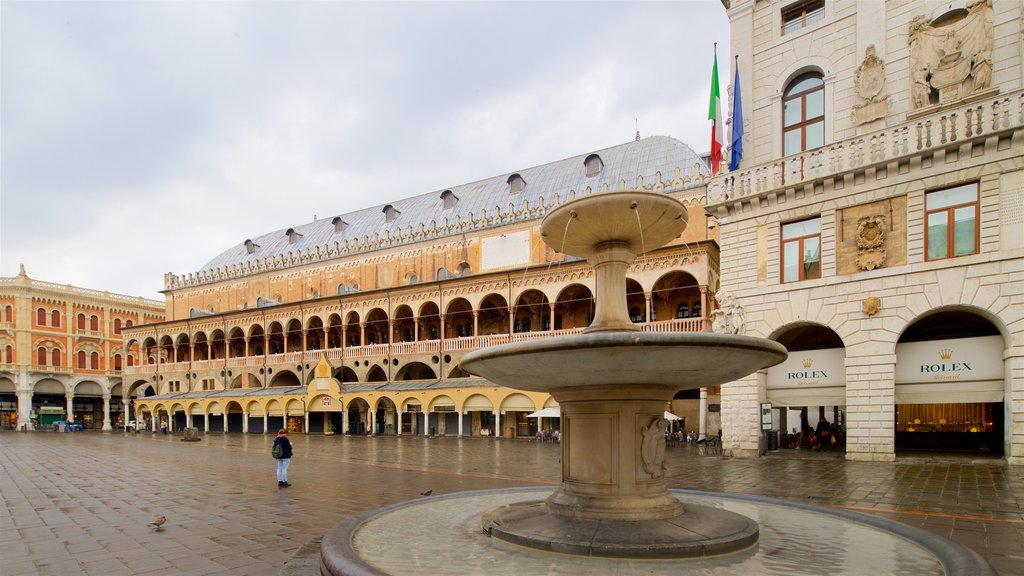 Piazza delle Erbe que inclui uma praça ou plaza, elementos de patrimônio e uma fonte