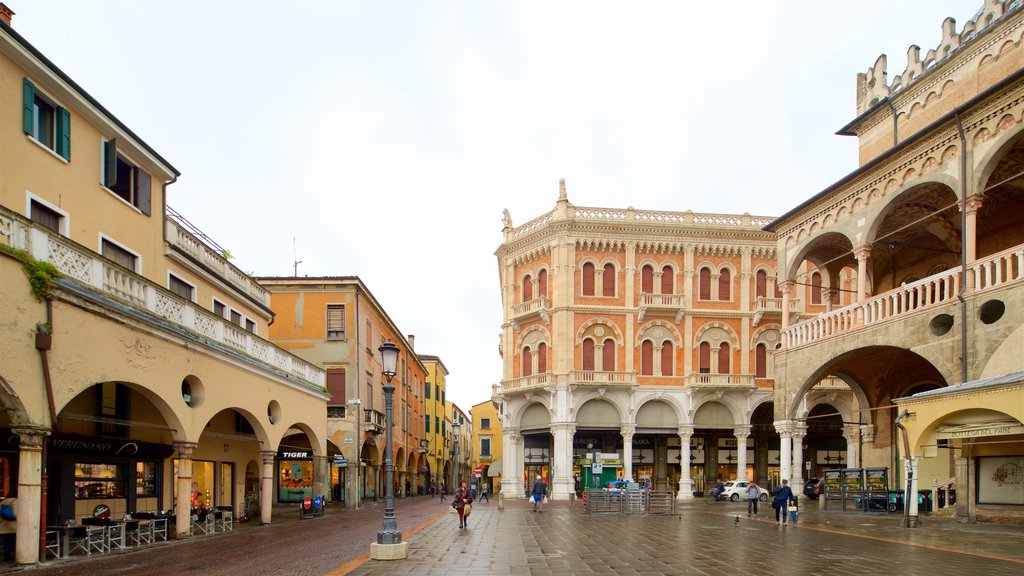 Piazza delle Erbe showing a square or plaza, a city and heritage elements