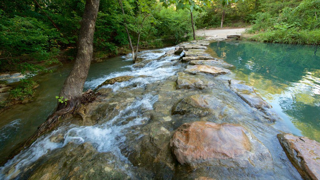 Chickasaw National Recreation Area showing a river or creek