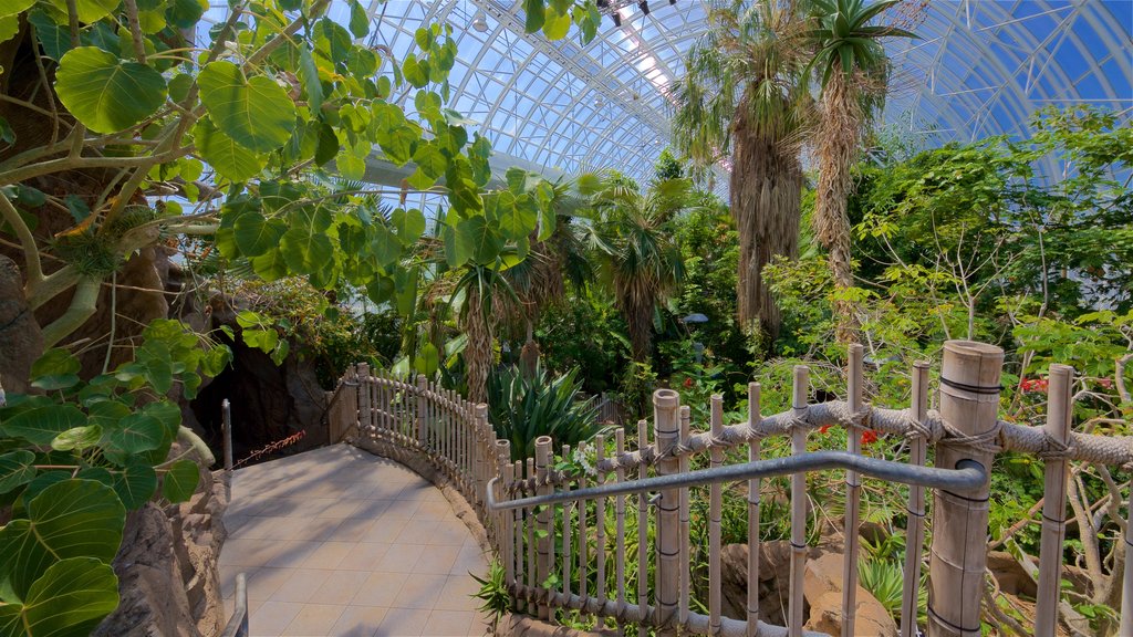 Myriad Botanical Gardens which includes a garden and interior views