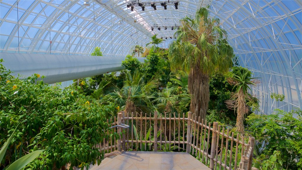 Myriad Botanical Gardens showing a garden and interior views