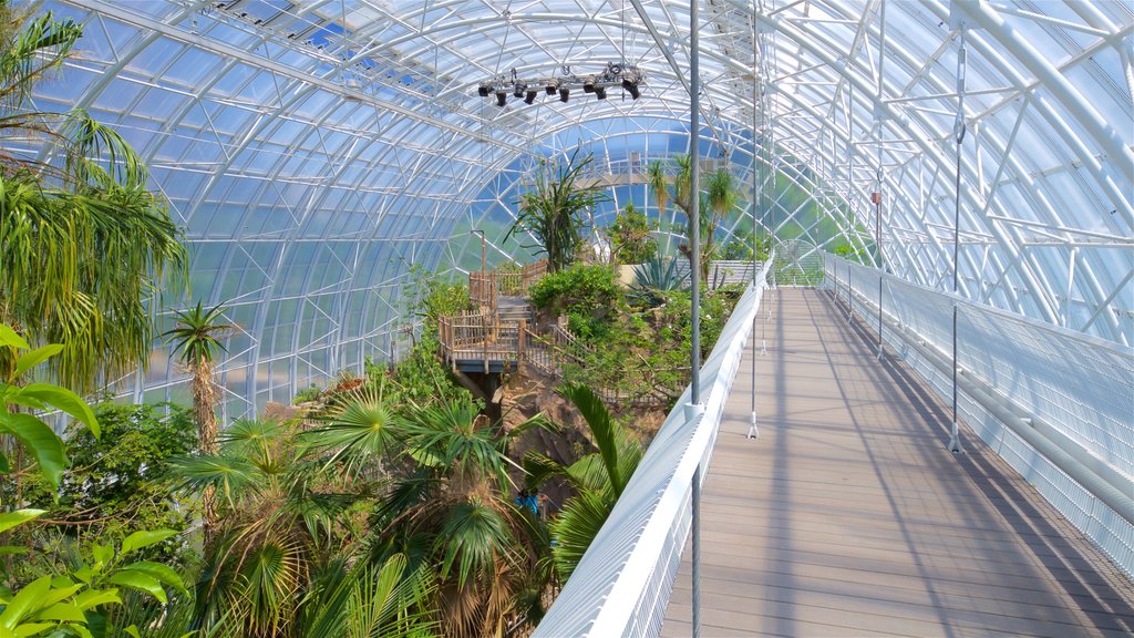 Myriad Botanical Gardens showing interior views and a garden