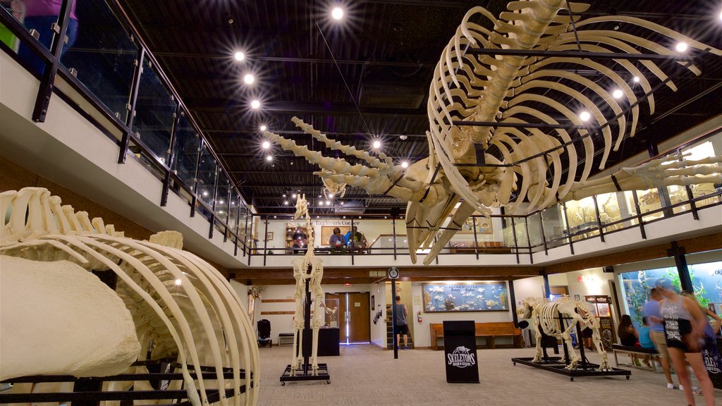 Museum of Osteology showing interior views