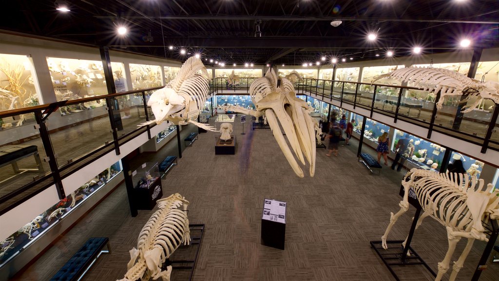 Museum of Osteology featuring interior views