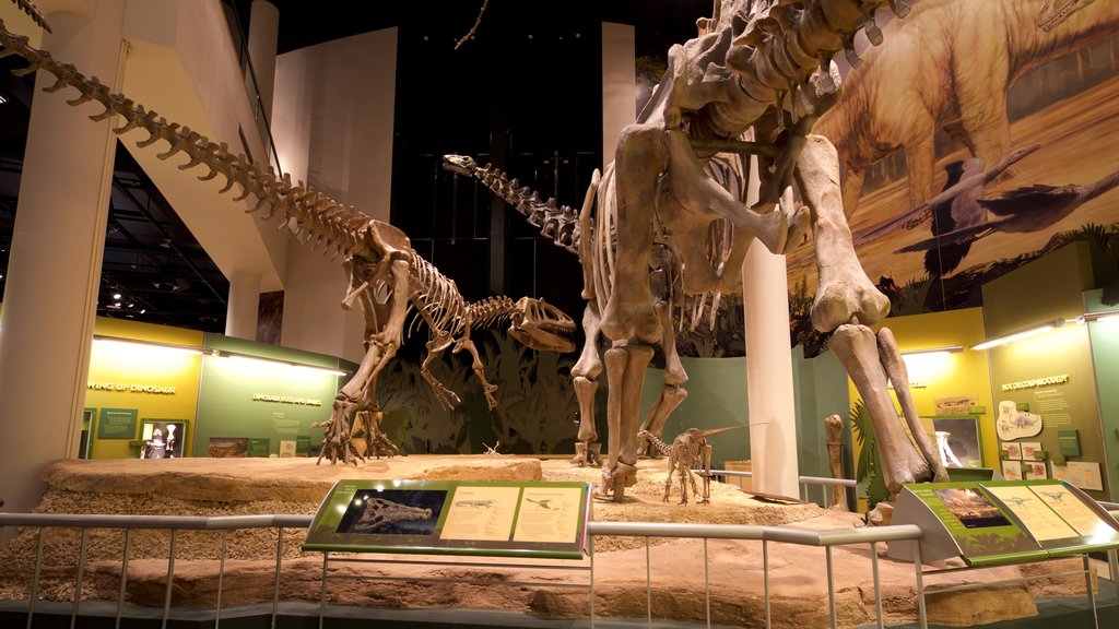 Museo de historia natural de Oklahoma Sam Noble mostrando señalización y vista interna