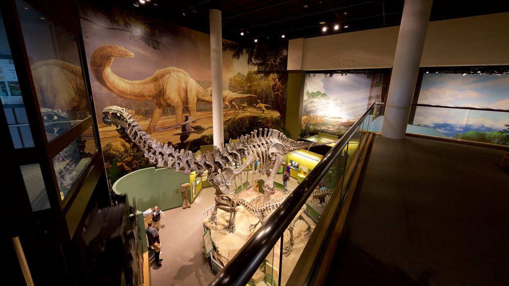 Museo de historia natural de Oklahoma Sam Noble mostrando vista interna