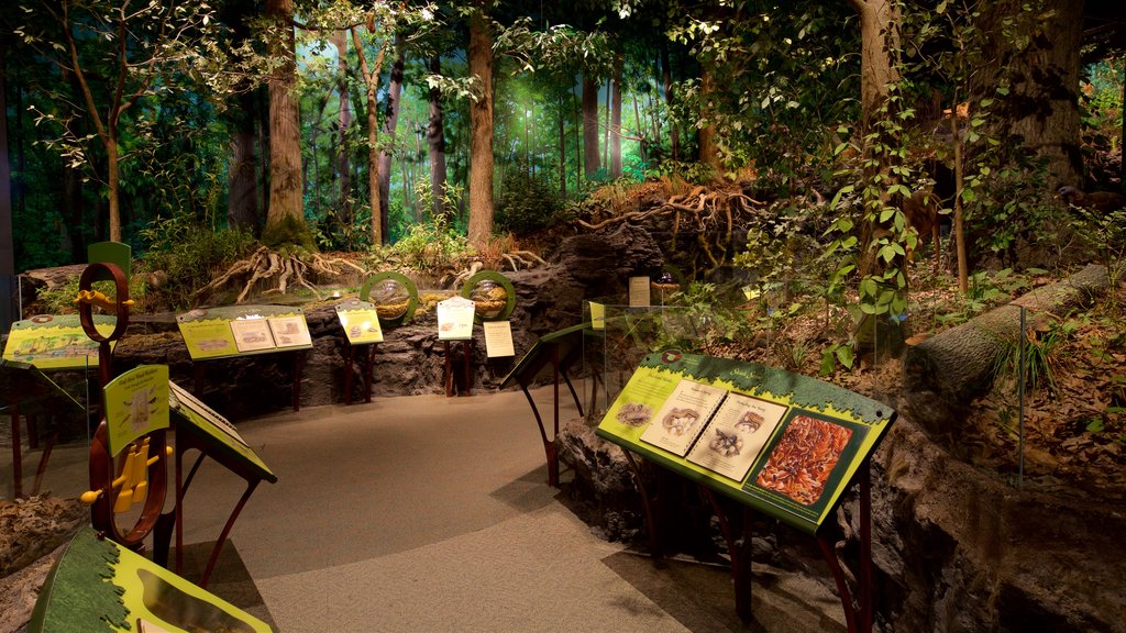 Sam Noble Oklahoma Museum of Natural History which includes signage and interior views