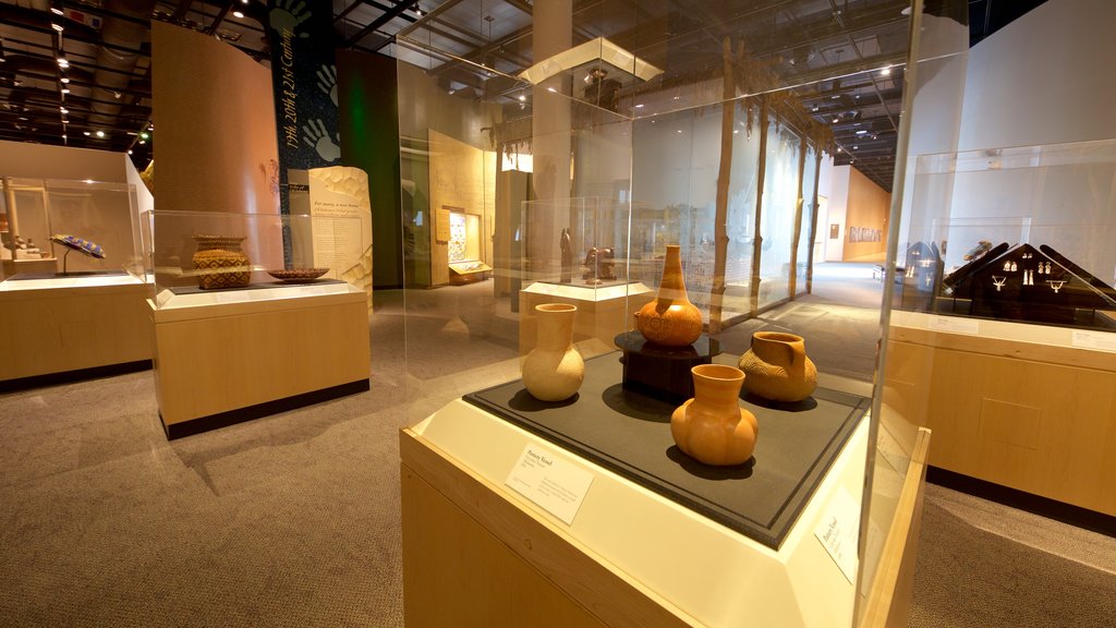 Sam Noble Oklahoma Museum of Natural History showing interior views