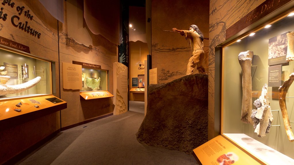 Sam Noble Oklahoma Museum of Natural History showing interior views