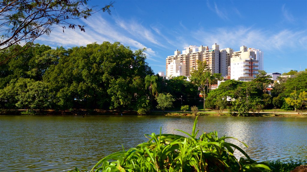 Taquaral Lake which includes a city and a lake or waterhole