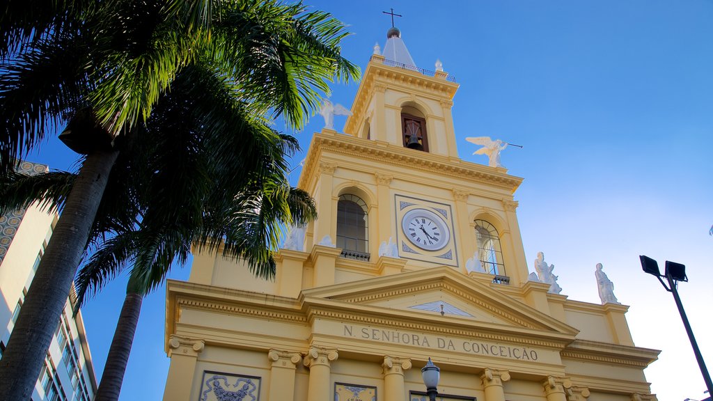 Catedral Metropolitana de Campinas ofreciendo una iglesia o catedral y arquitectura patrimonial