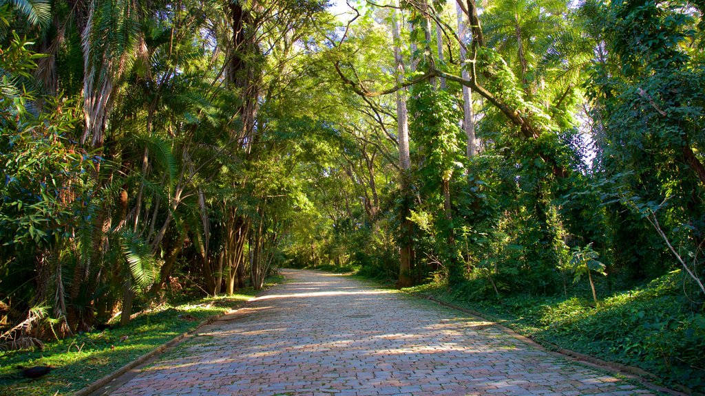 Portugal Park showing a garden