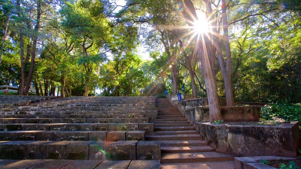 อุทยาน Taquaral Lake ซึ่งรวมถึง สวน