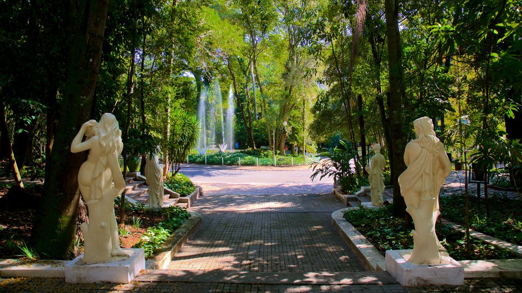 Jequitibas Forest featuring a garden, a fountain and a statue or sculpture