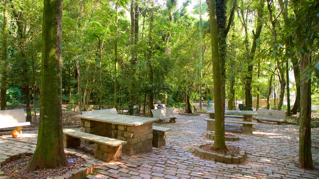 Bosque Jequitibas mostrando un jardín