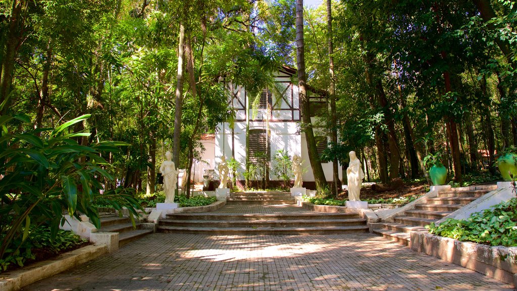 Jequitibas Forest which includes a garden and a statue or sculpture