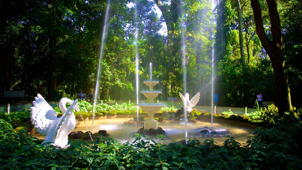 Jequitibas Forest featuring a garden and a fountain