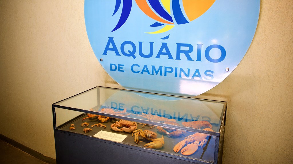 Municipal Aquarium showing interior views, marine life and signage