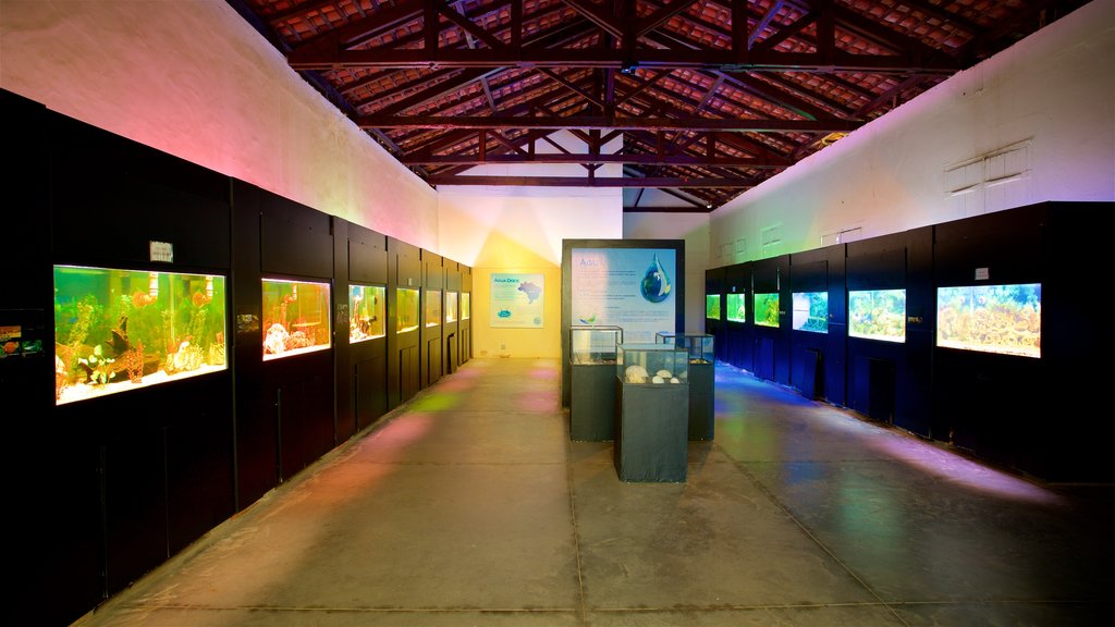 Municipal Aquarium showing interior views and marine life