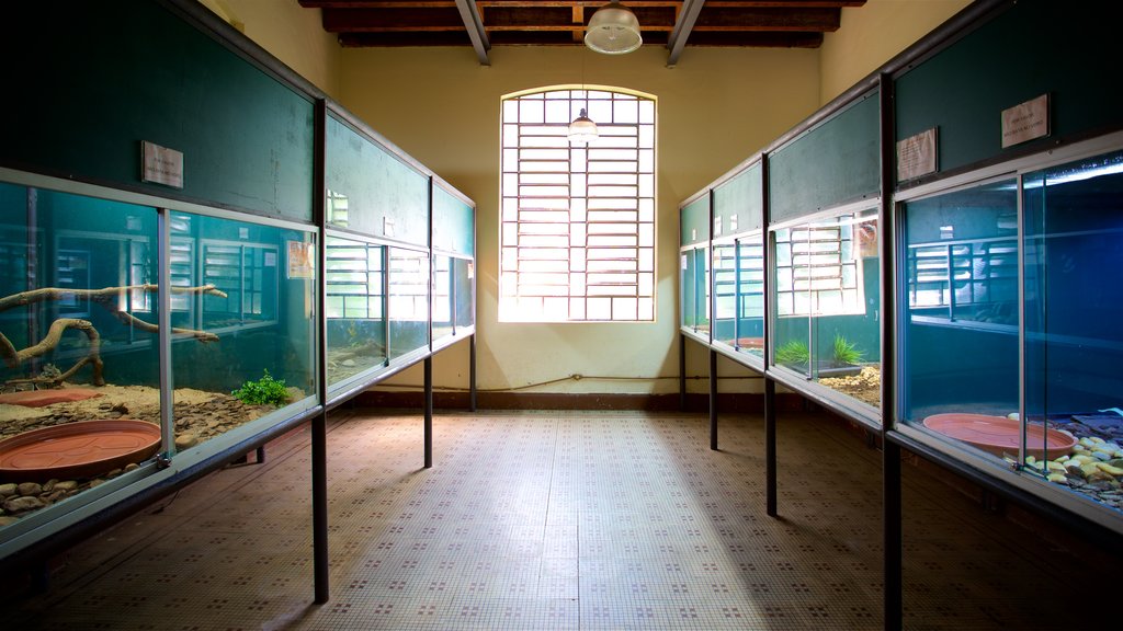 Municipal Aquarium showing interior views and marine life