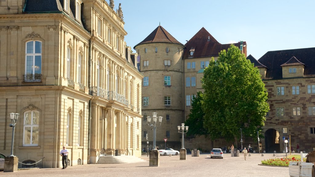 Meersburg New Palace showing heritage elements and a city