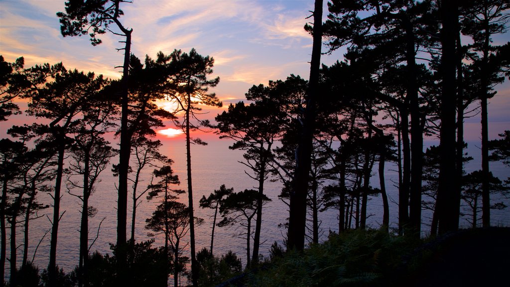 Monte Urgull showing general coastal views and a sunset