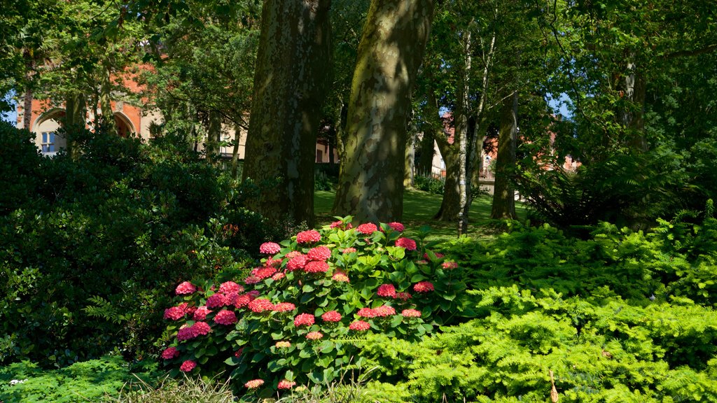 Palacio de Miramar que incluye jardín y flores silvestres