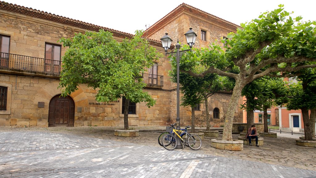 Jovellanos Birthplace Museum showing heritage elements