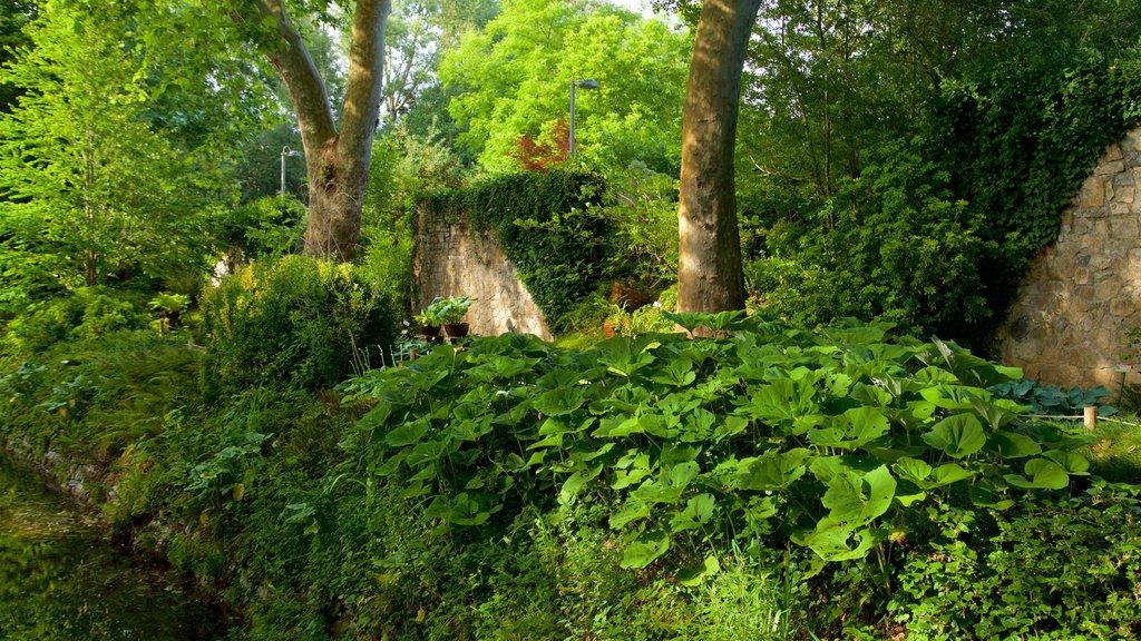 Jardín Botánico Atlántico ofreciendo un parque