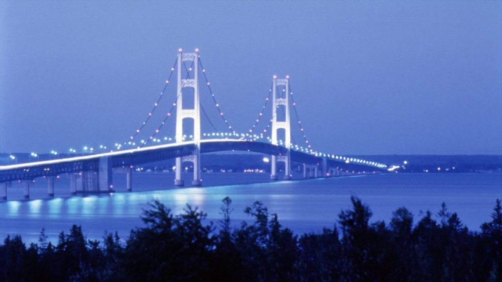 Mackinac Island which includes island views, night scenes and a bridge