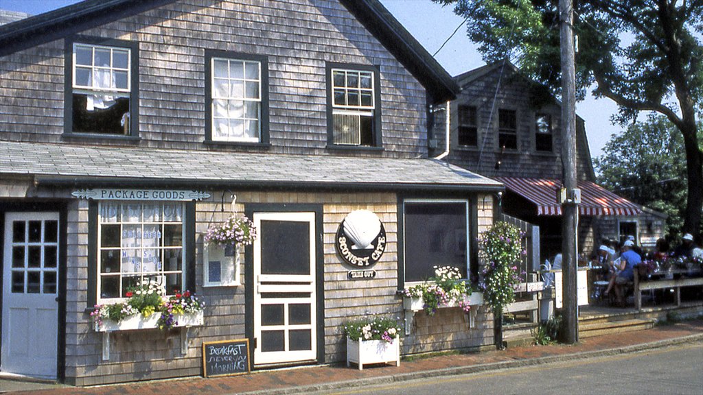 Nantucket showing a small town or village and a house