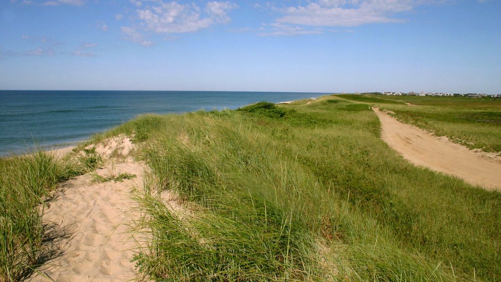 Nantucket which includes general coastal views, tranquil scenes and island views