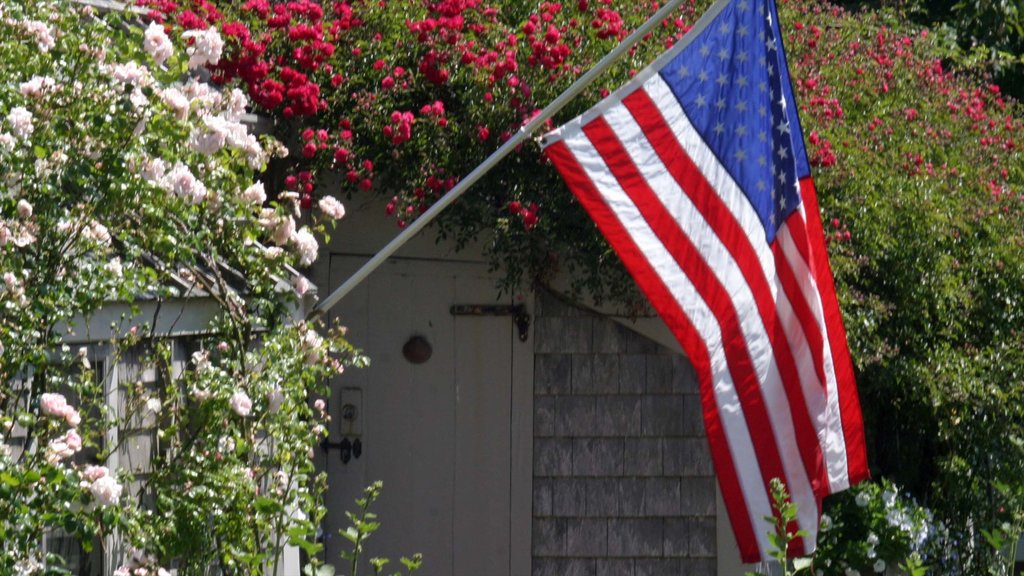 Nantucket showing flowers