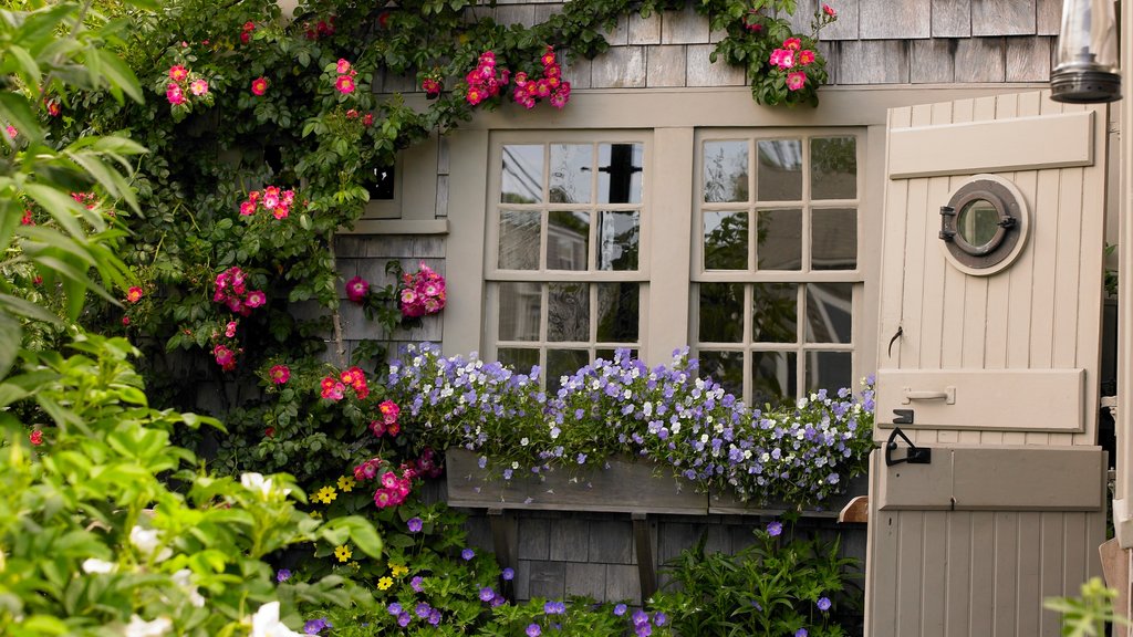 Nantucket mostrando flores, una pequeña ciudad o pueblo y una casa