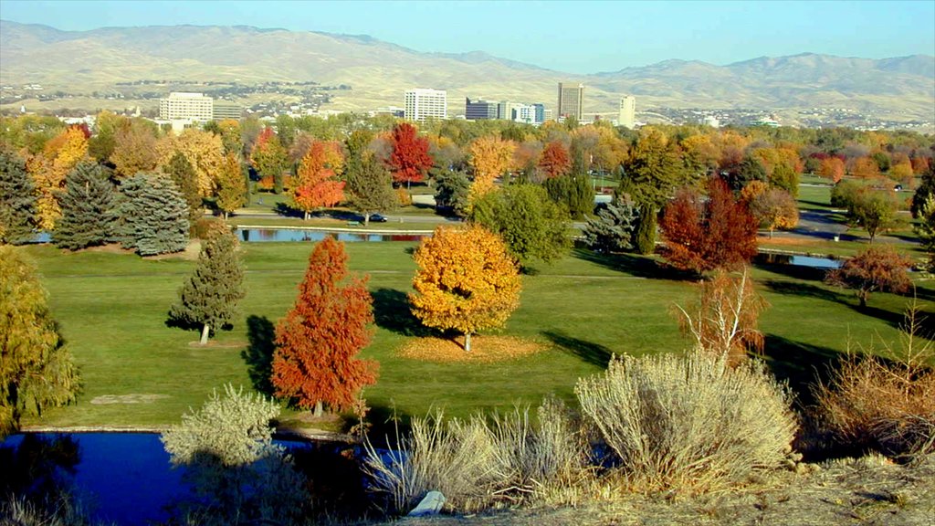 Boise which includes a garden and autumn colours